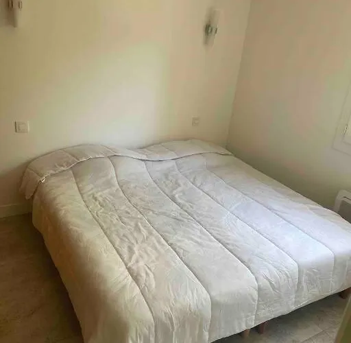 Villa Sublime Aux Pieds Des Rivieres Et Randonnees Omessa